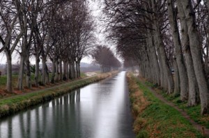 canal_384914_516x343